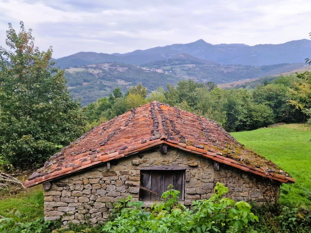 Une petite remise typique