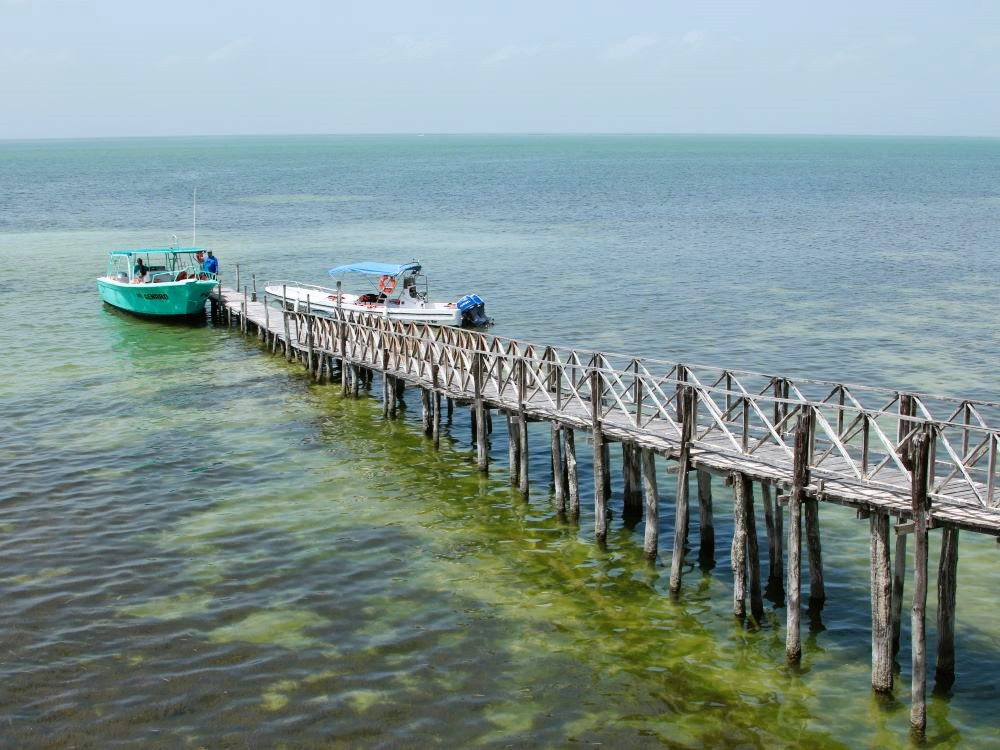 Excursion à Holbox