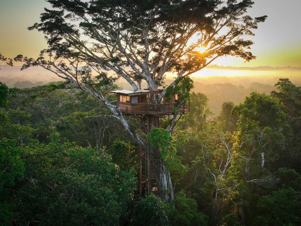 Cabane dans les arbres au Pérou