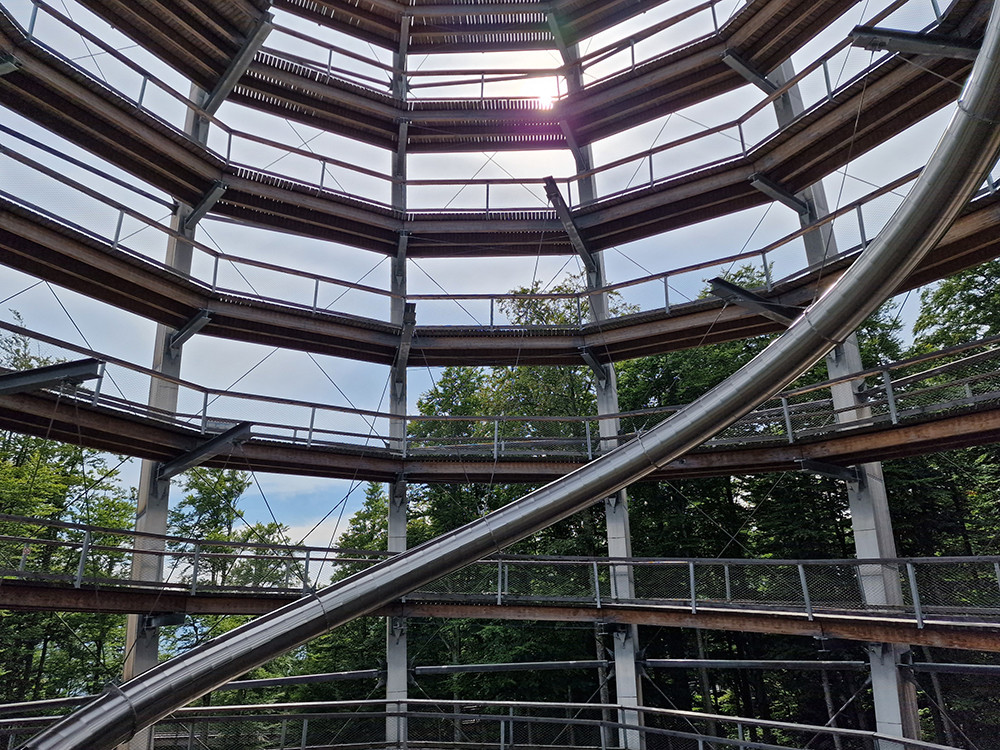 Passerelle dans les arbres