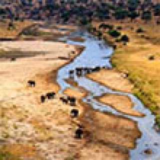 Image pour Travelbase - Tanzania Nomads