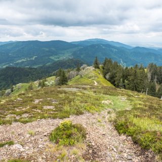 Image pour Les montagnes de la Forêt-Noire