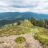 Image pour Les montagnes de la Forêt-Noire
