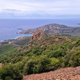 Image pour Méditerranée