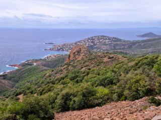 Image pour Méditerranée