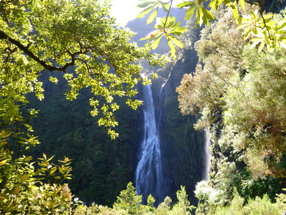 Cascades à Madère
