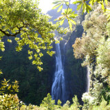 Image pour Cascades à Madère