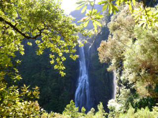 Image pour Cascades à Madère