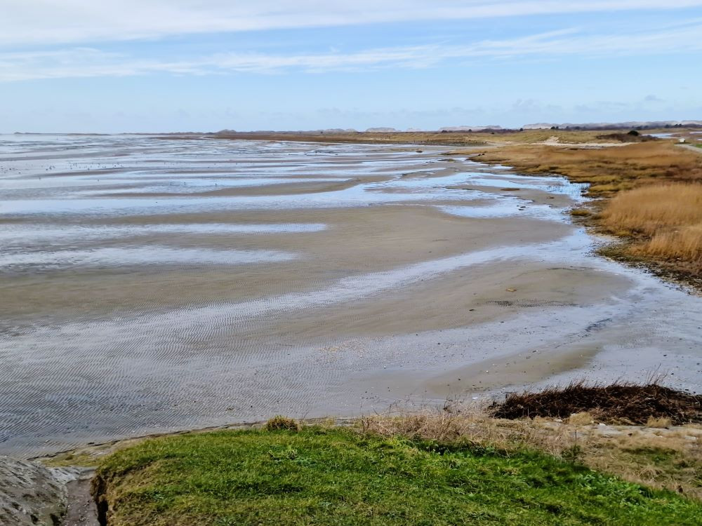 La plage verte