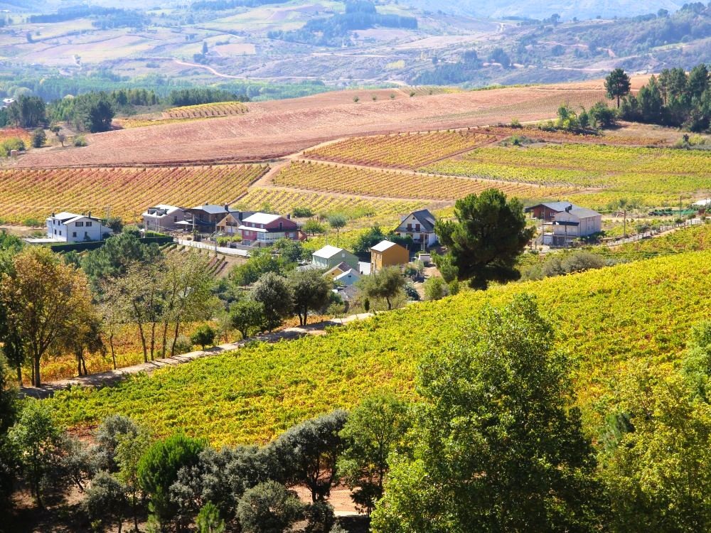 Bierzo