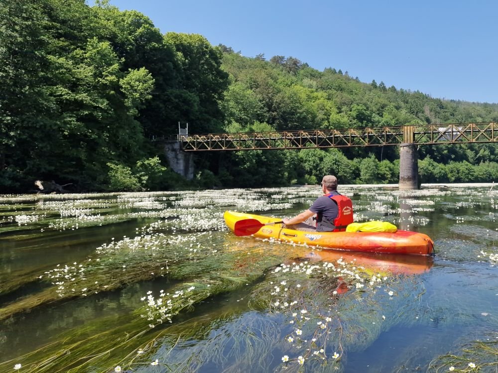 Kayak dans les Ardennes françaises