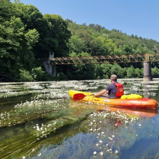 Image pour Faire du kayak dans les Ardennes