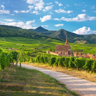 Image pour L'Alsace