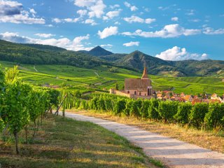 Image pour L'Alsace