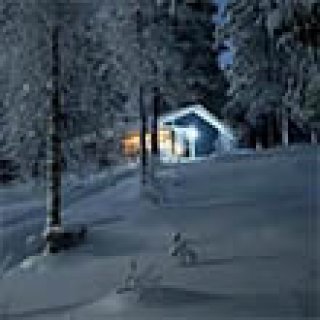 Image pour Erämökki Villa
