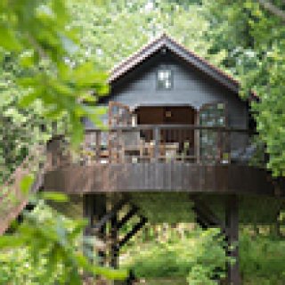 Image pour Booking.com - Maisons modernes dans les arbres