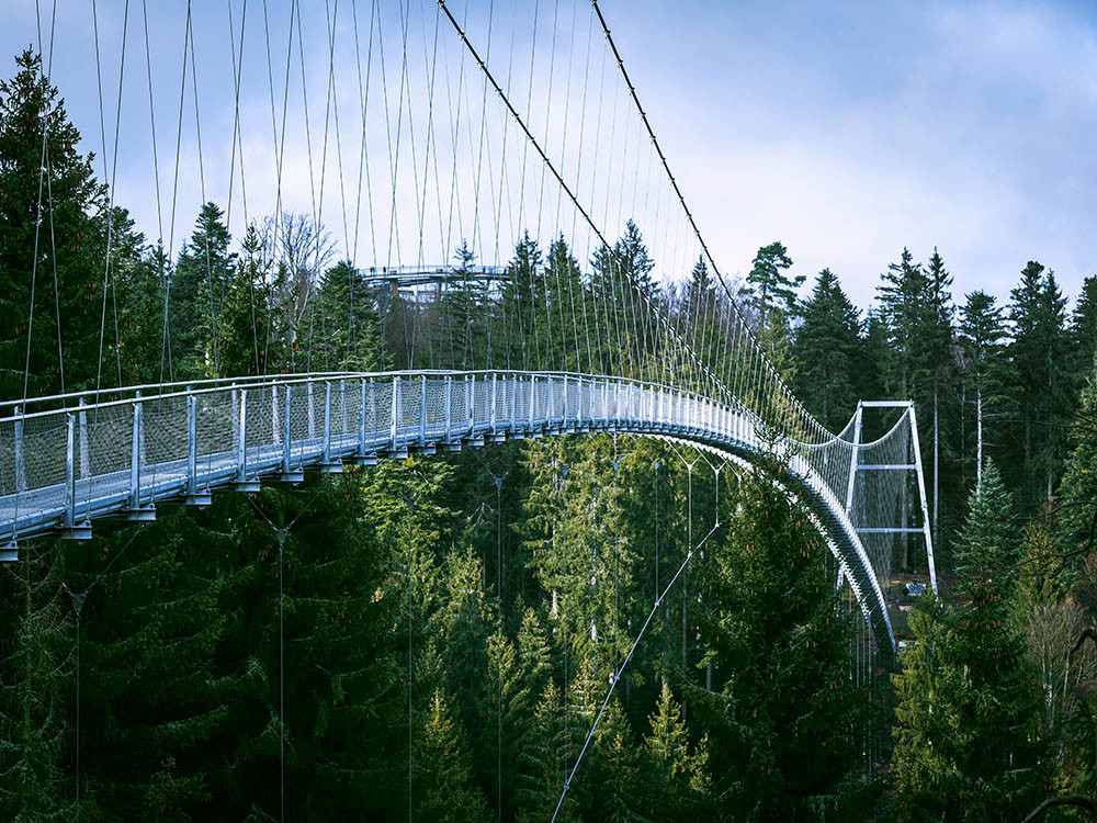Passerelle suspendue WILDLINE