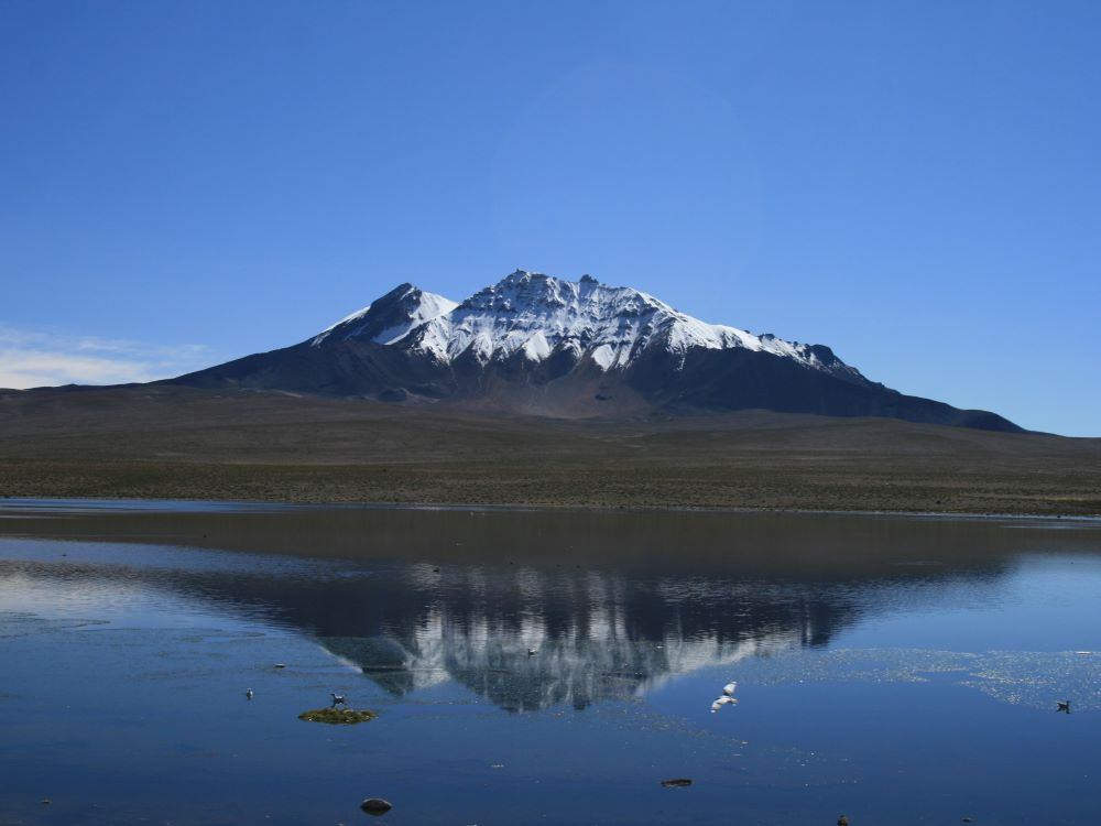 Volcans