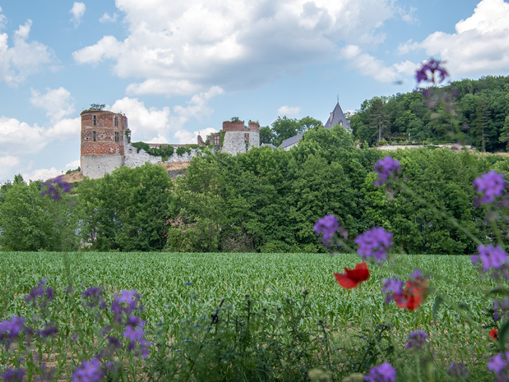 Ardennes