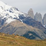 Image pour Randonnées en Patagonie