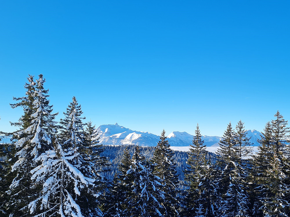 Domaine skiable des Portes du Soleil