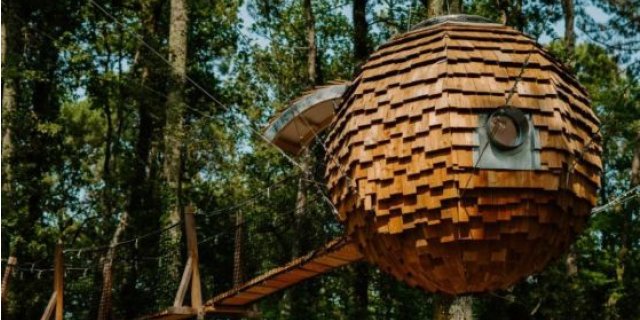 Image pour Les Cabanes Girondines - Lodges & Spa