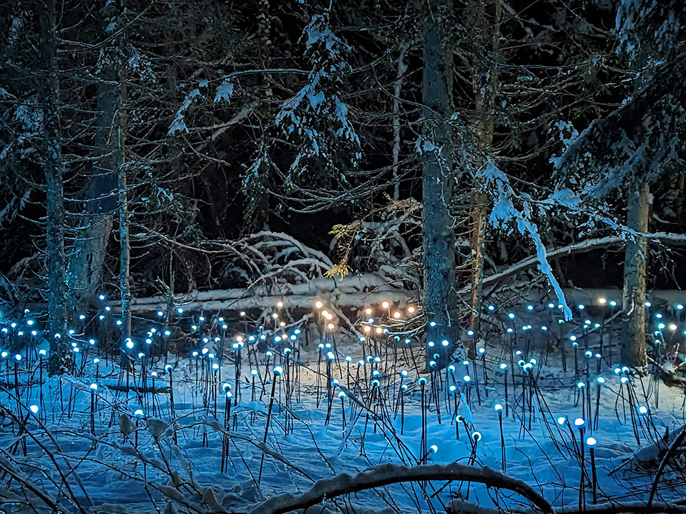 Alta Lumina aux Gets