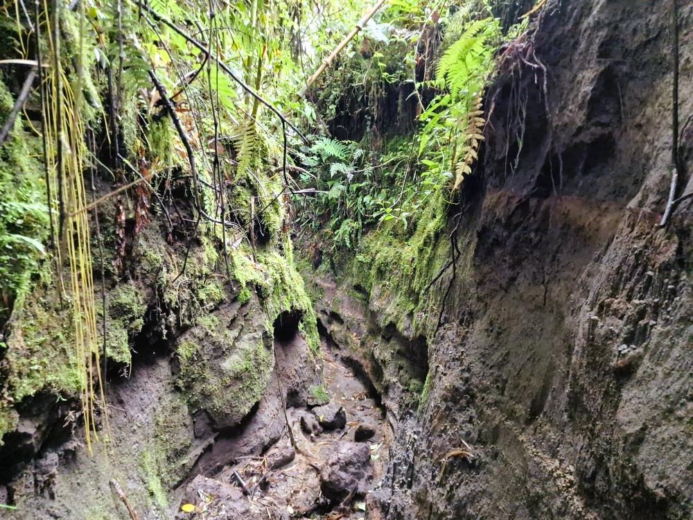Le chemin des Incas