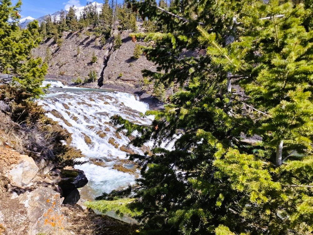 Cascade Bow River
