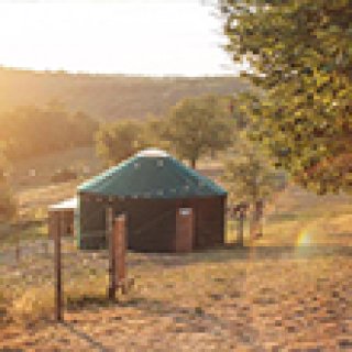 Image pour Booking.com - Yourte entre les chevaux