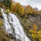 Image pour Cascades de la Forêt-Noire