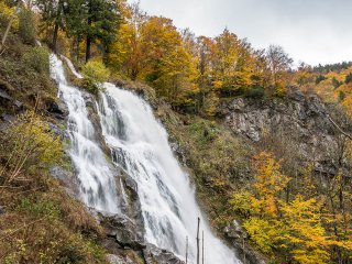 Image pour Cascades de la Forêt-Noire