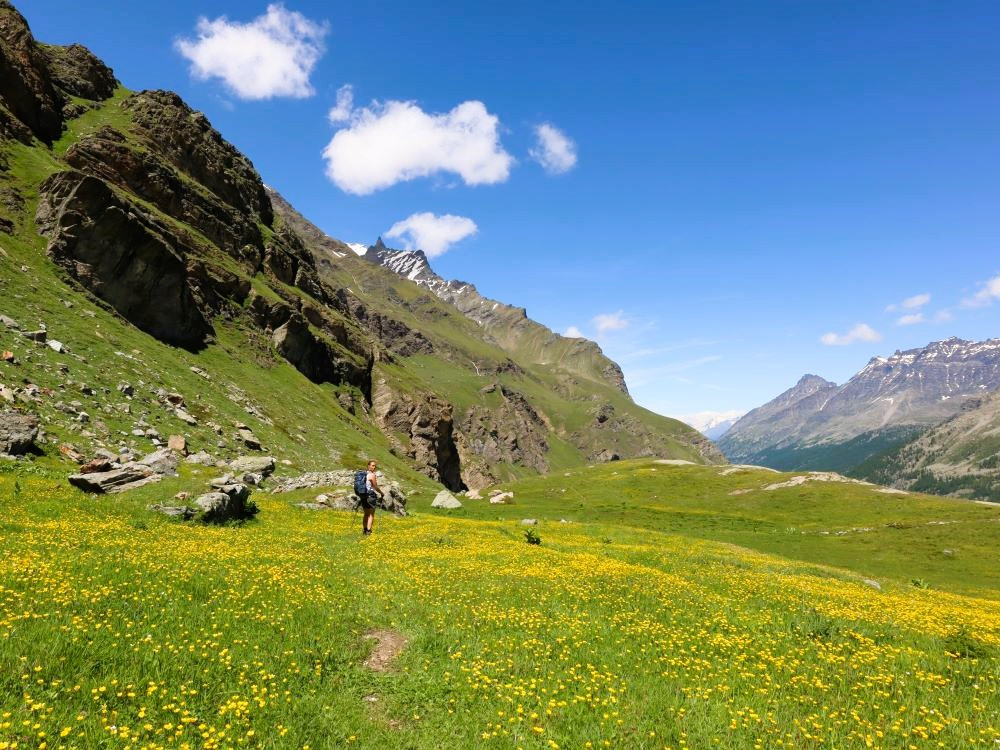 Prairie alpine italienne