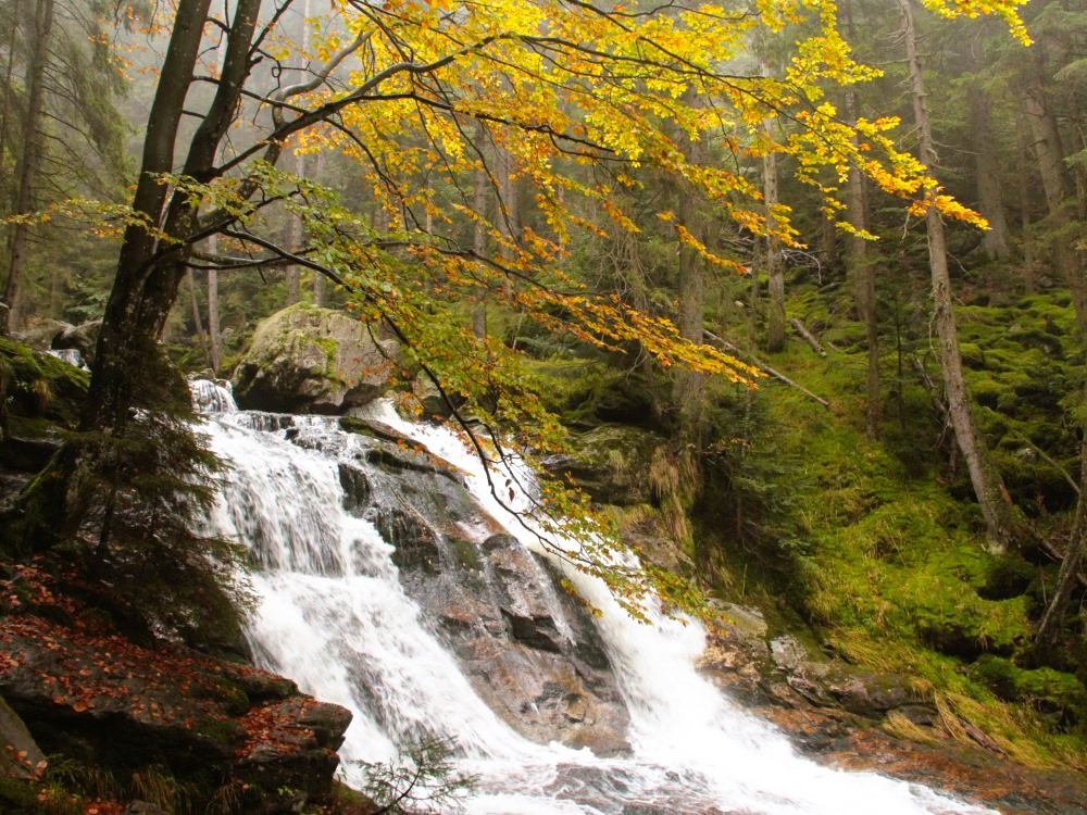 Cascade en Bavière