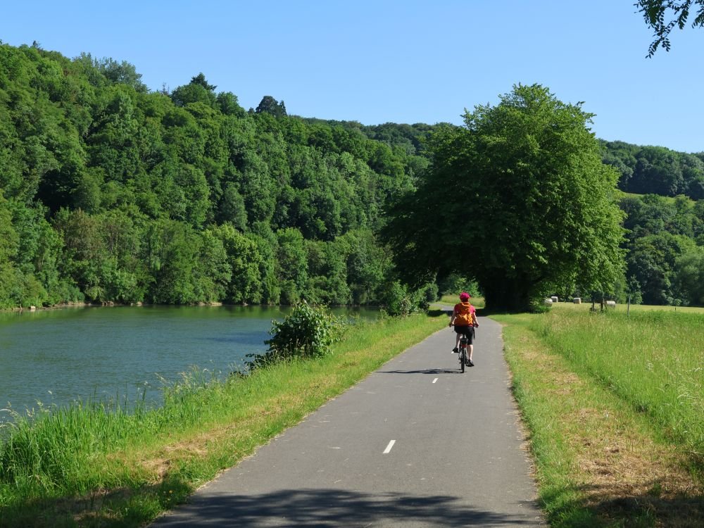 Vélo le long de la Meuse