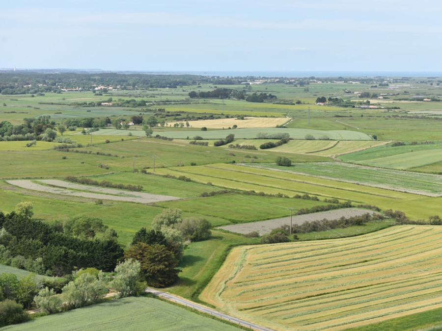 Paysage vendéen
