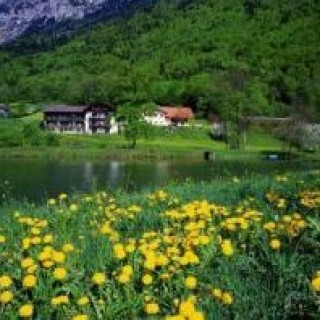 Image pour Booking.com - Hôtels Alpes allemandes