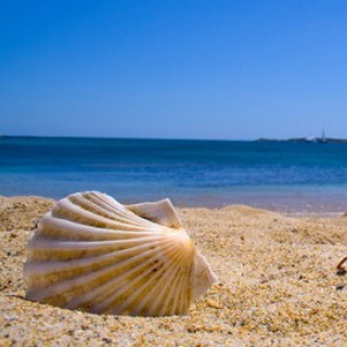 Image pour Booking.com - B&B Sardaigne
