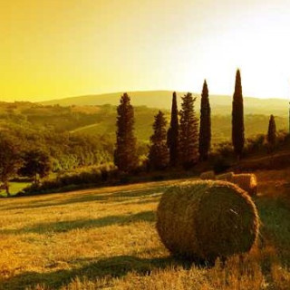 Image pour TUI - Road trip en Toscane