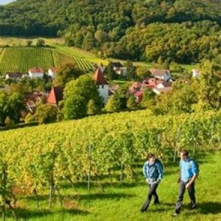 Image pour Landal - Parcs dans la nature allemande