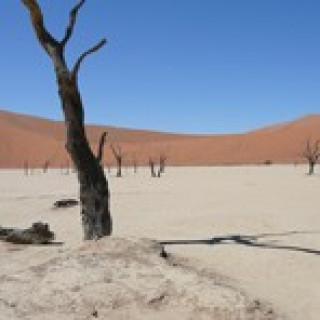 Image pour TUI - Safari en Namibie