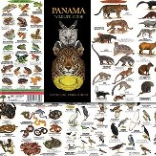 Image pour Guides de la nature Panama