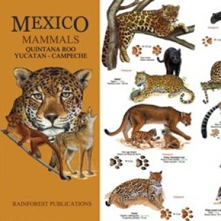 Image pour CONSEIL - Guides nature du Mexique