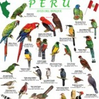 Image pour Guides de terrain du Pérou
