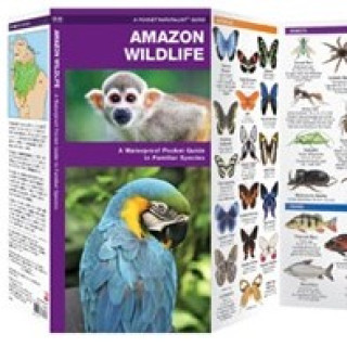 Image pour Guides d'identification de l'Amazonie