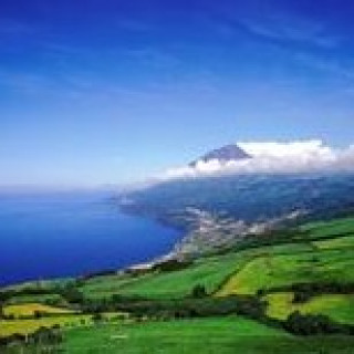 Image pour TUI - Baleines lors d'un circuit aux Açores