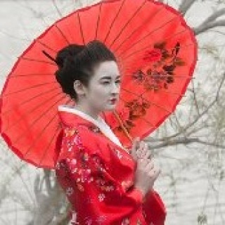 Image pour TUI - Circuits au Japon