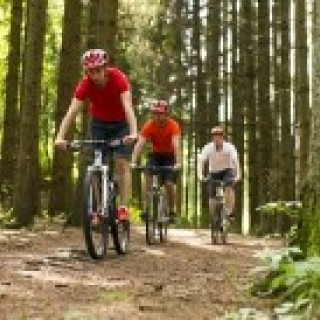 Image pour Landal - Parc de vacances Les Gottales