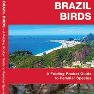 Image pour CONSEIL - Guides de la nature au Brésil