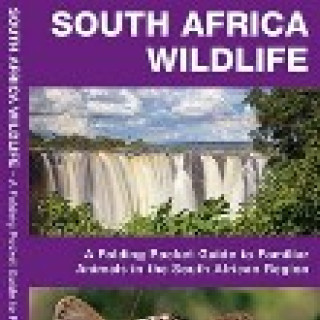 Image pour AVIS - Guides Afrique du Sud